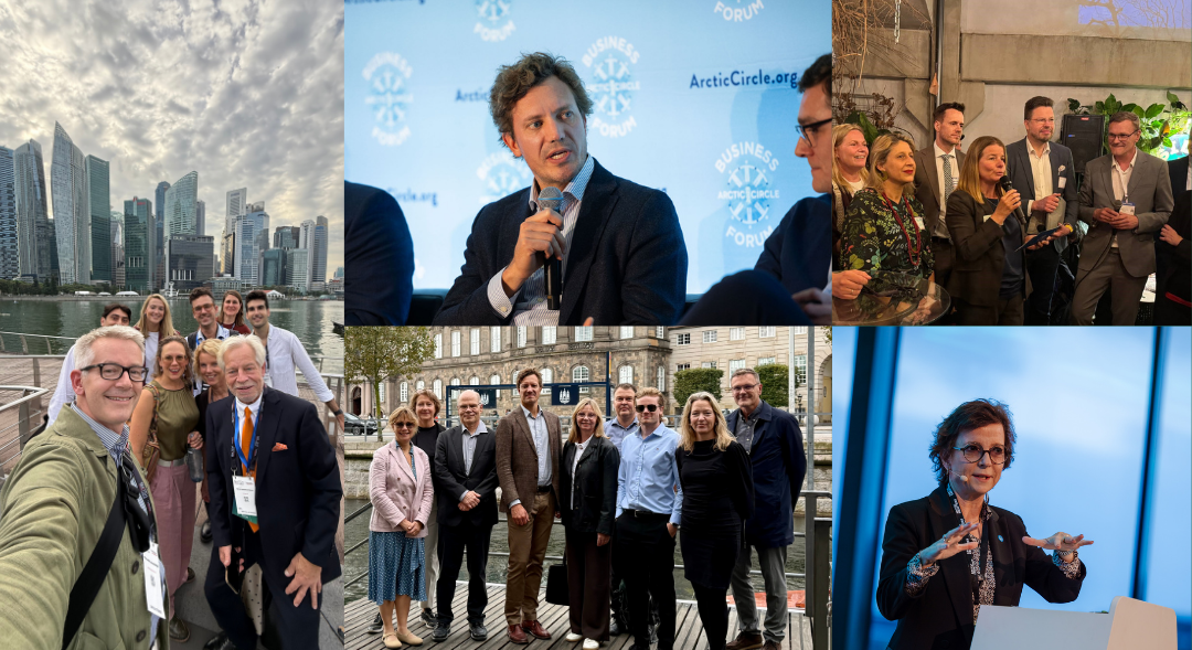 Kollage med billeder fra året 2025