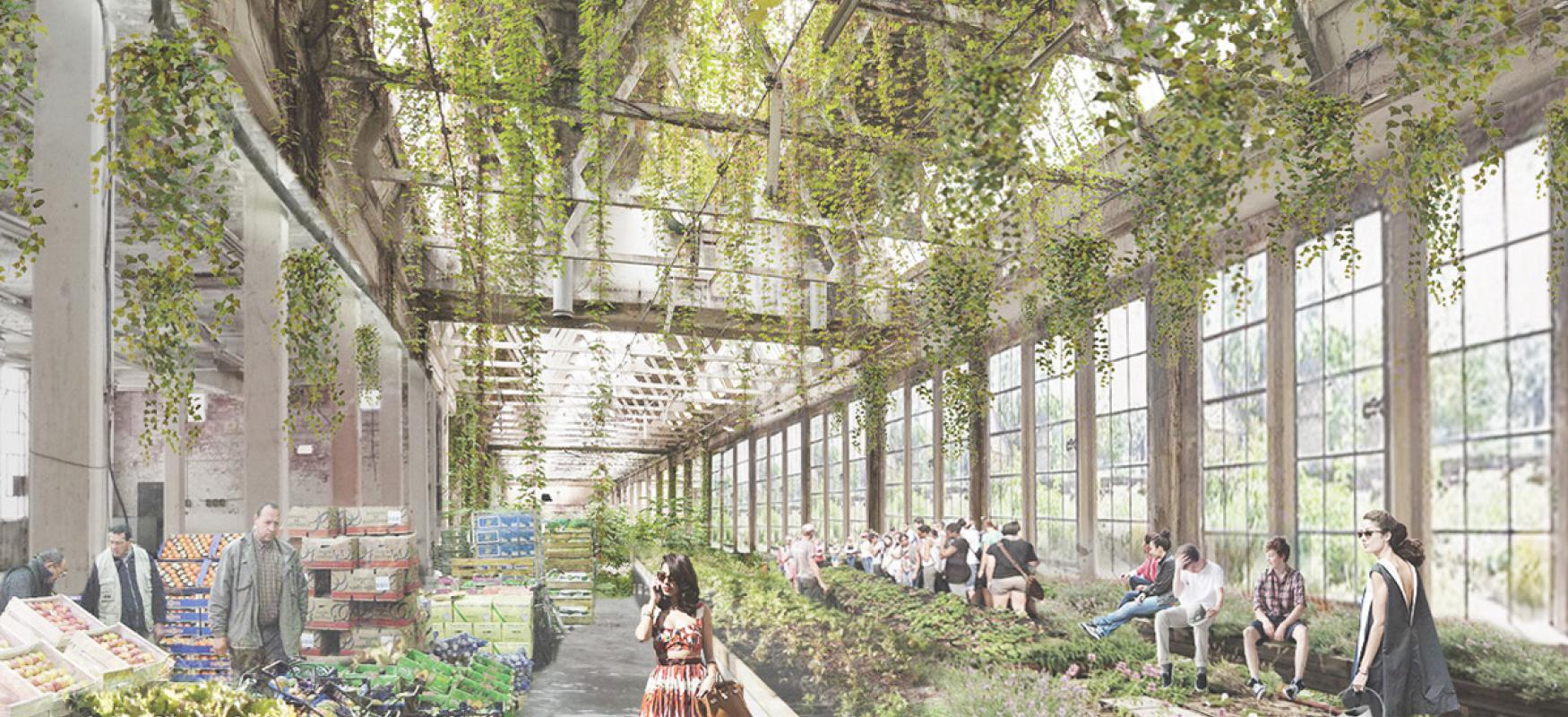 Render of the Co-op City project showing people shopping in an indoor farmers' market.