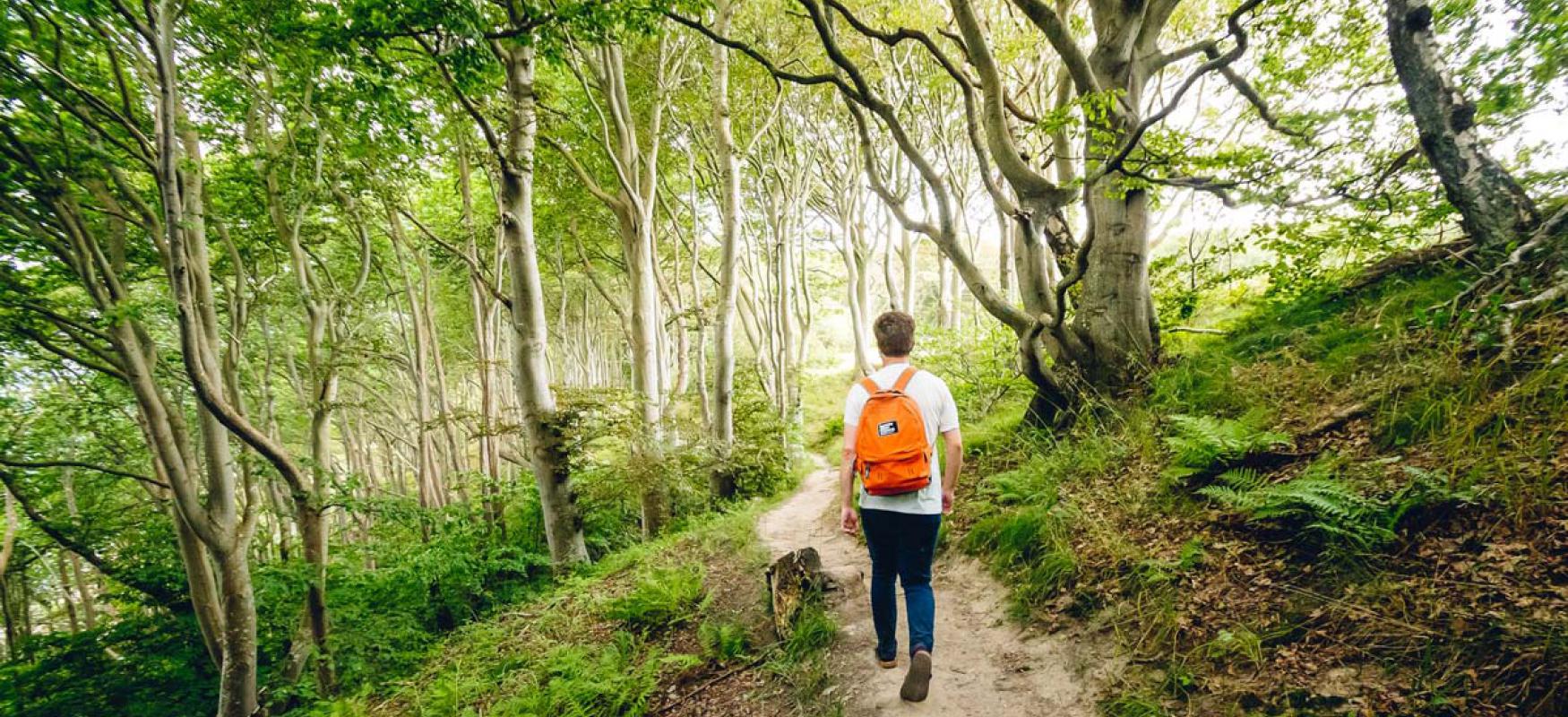 Person with orange backpack hiking in a Swedish forest