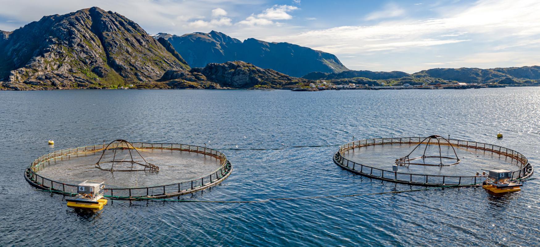 Salmon farms in Norway