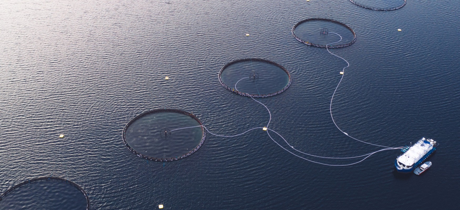 Salmon fish farm in Norway