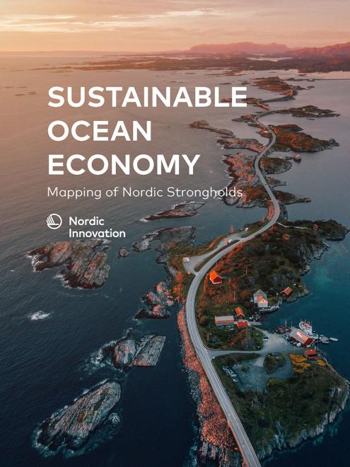 Frontpage of the Sustainable Ocean Economy mapping. It is a road that meanders between islands in the sea.
