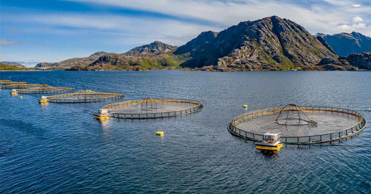 Securing growth for the Nordic bioeconomy through circular models of ...