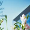Flowers in front of a poster illustrating a house with glass window and text: growth without increasing emissions