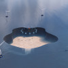 Illustration of how a sea farms and wind turbins at sea could look like