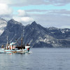 Fishing boat on calm water close to the coast of Greenland