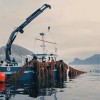 Boat harvesting kelp in the Faroe Islands